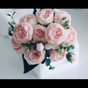 Meet your Posher, Iris